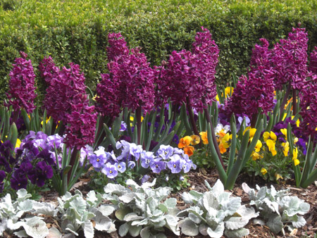 spring advances